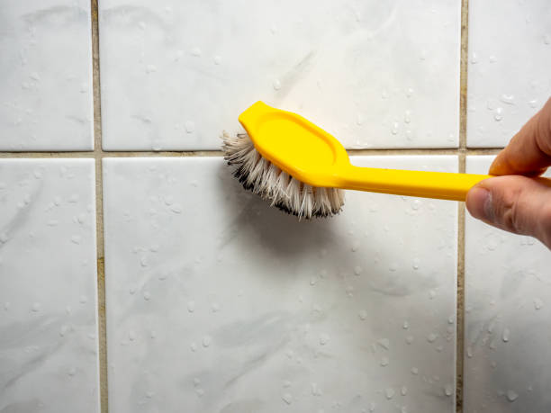 Best Commercial Mold Removal  in Seven Fields, PA