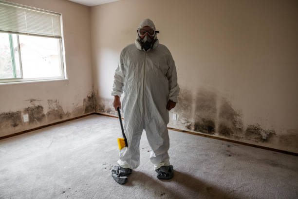 Best Mold Removal Process  in Seven Fields, PA